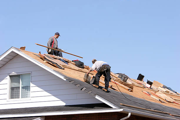 Best Roof Insulation Installation  in Lakeside Park, KY